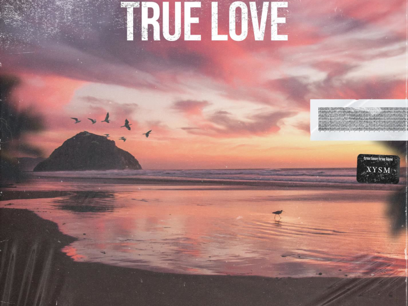 True Love (Single)