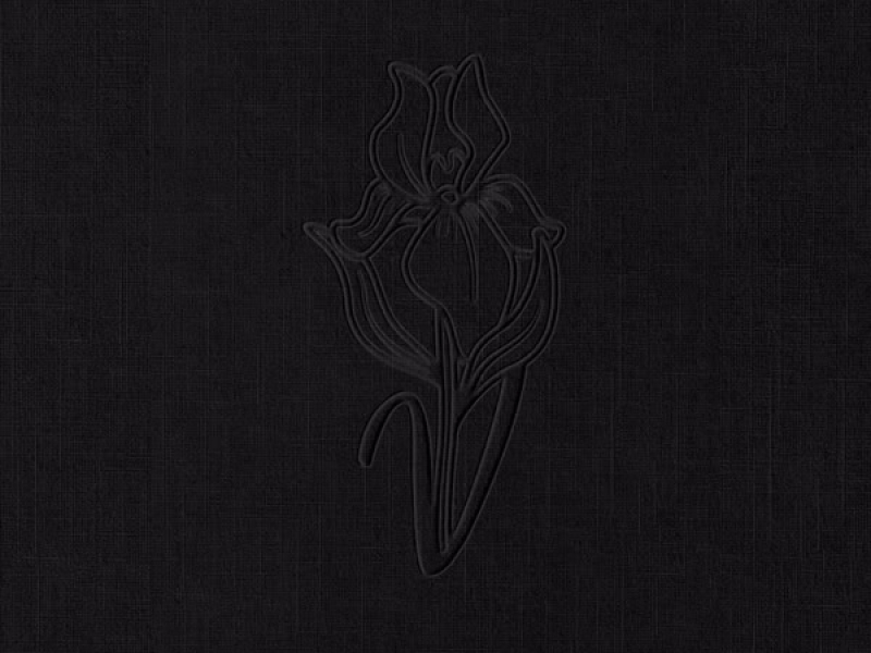 Thank Me For That (Single)