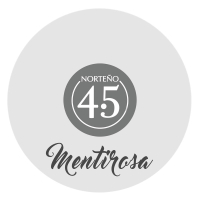 Mentirosa (Single)