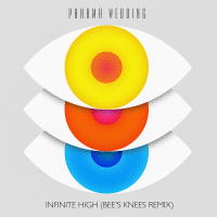Infinite High (Bee's Knees Remix) (Single)