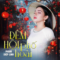 Đêm Hội Phố Hoài (Single)