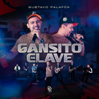 Gansito Mi Clave (Single)