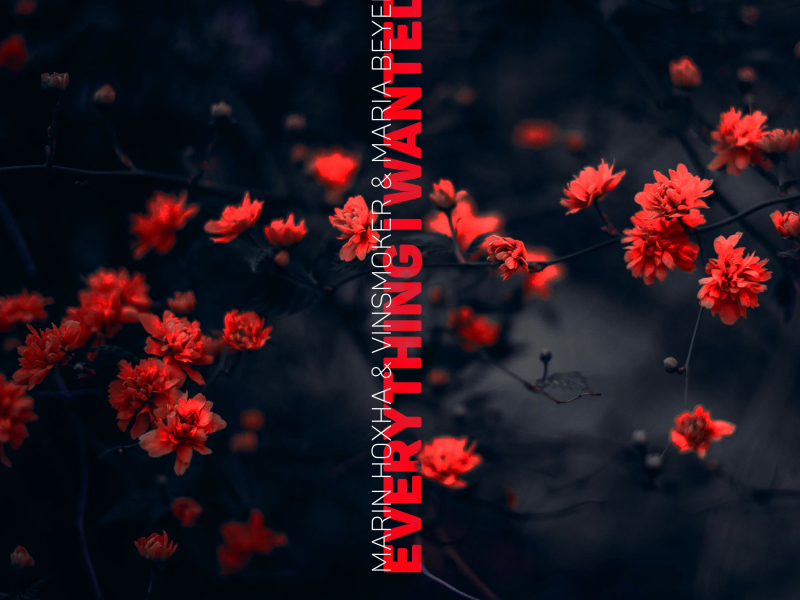 Everything I Wanted (Single)