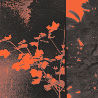 little red, little blue (Single)