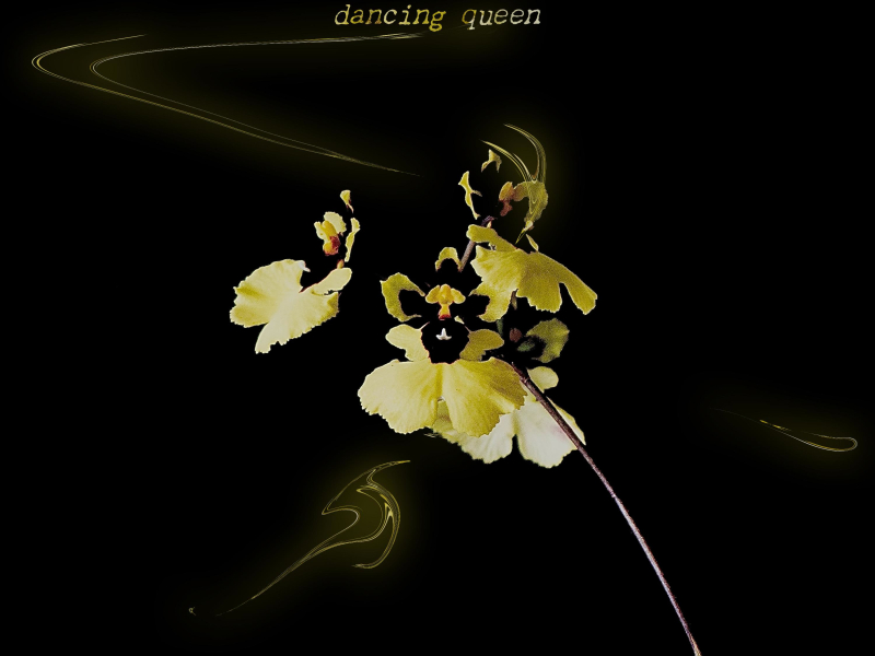 Dancing Queen (Single)