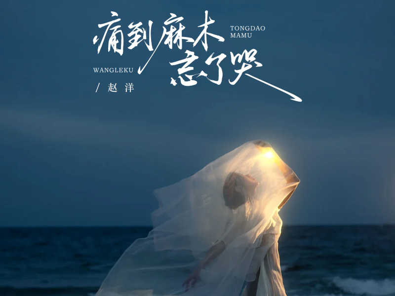 痛到麻木忘了哭 (DJ京仔版) (Single)