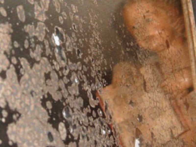 Angel's Fly Souvenir