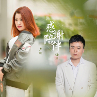 感谢陪伴 (DJ版) (Single)