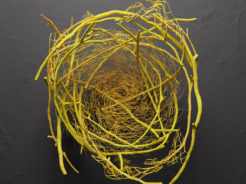 Hanging D (Max Cooper Remix) (Single)