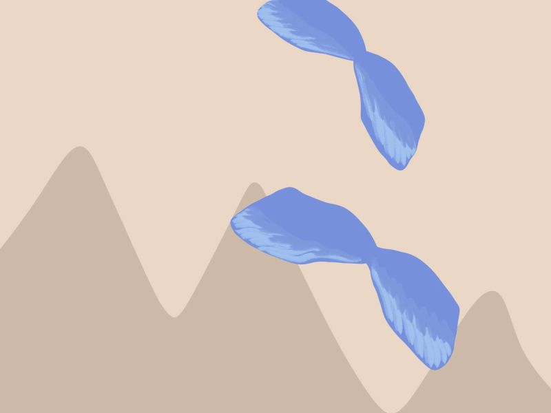 Feels Like Flying (Single)