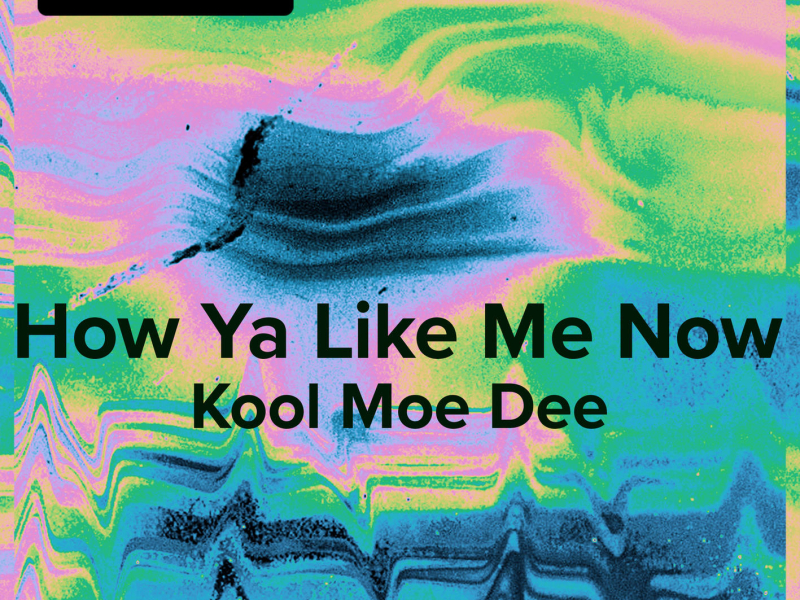 How Ya Like Me Now (Kool Moe Dee - Sped Up) (Single)