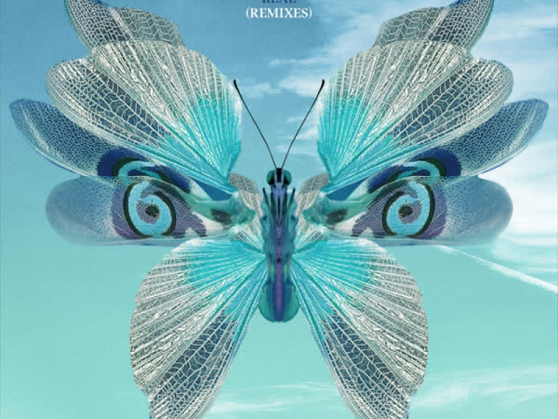 Real (Remixes) (EP)