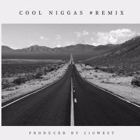 Cool Niggas (Remix) (Single)
