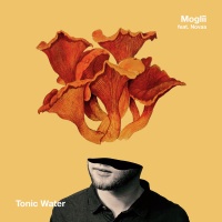 Tonic Water (Single)