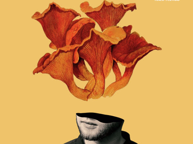 Tonic Water (Single)