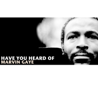 Have You Heard of Marvin Gaye