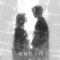 刚好犯了错 (Single)