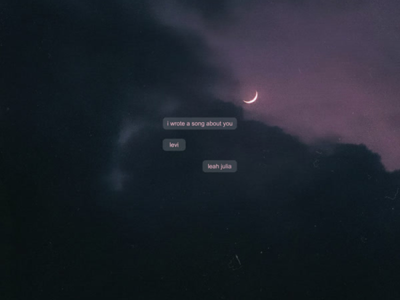 i wrote a song about you (Single)