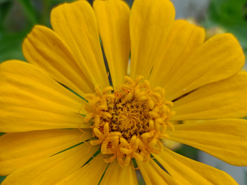 Aku dan kamu (Cover) (Single)