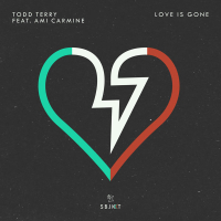 Love Is Gone (Single)