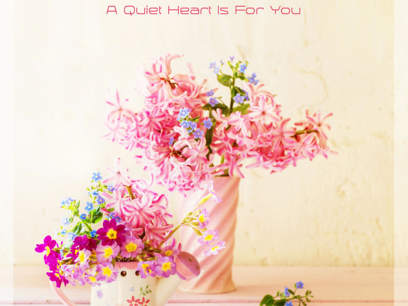 A Quiet Heart Is For You (Single)