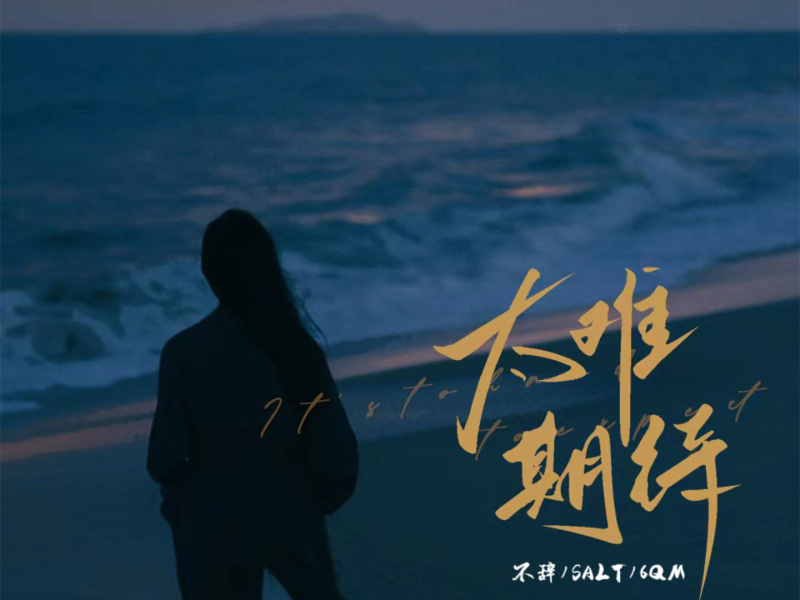 太难期待 (Single)