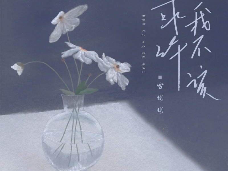 或许我不该 (EP)