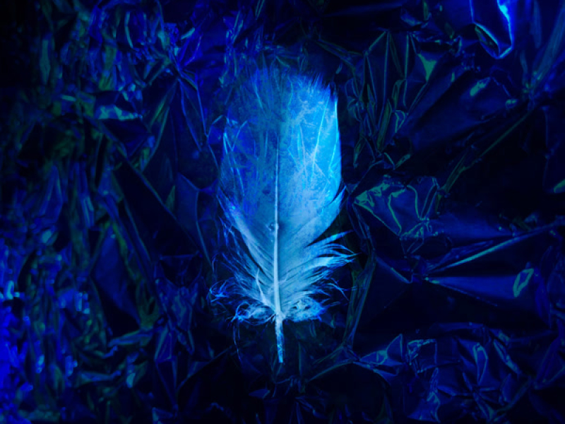 もう一度 (Single)