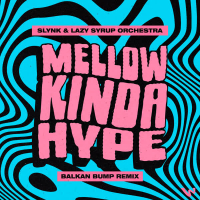 Mellow Kinda Hype (Balkan Bump Remix) (Single)