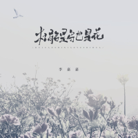 杜鹃是鸟也是花 (Single)