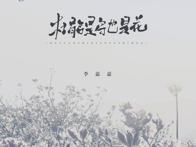 杜鹃是鸟也是花 (Single)