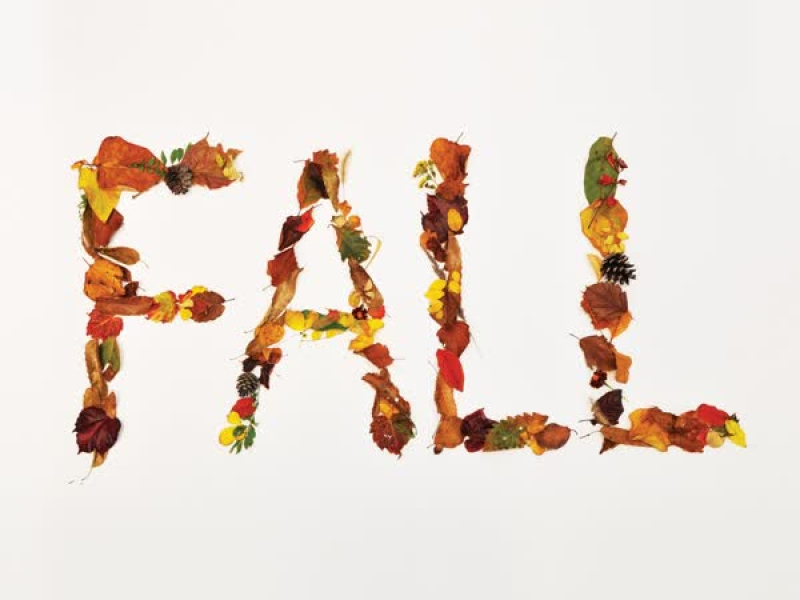 Fall