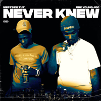 Never Knew (Single)