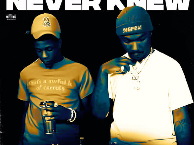 Never Knew (Single)