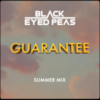 GUARANTEE (SUMMER MIX) (Single)