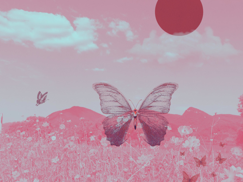 Dawn Of Love (Single)