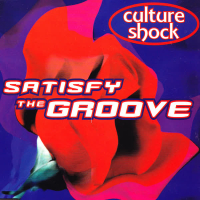 Satisfy The Groove