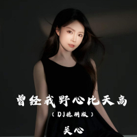 曾经我野心比天高 (Dj德朋版) (Single)