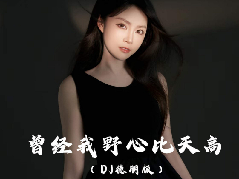 曾经我野心比天高 (Dj德朋版) (Single)