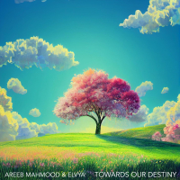Towards Our Destiny (Single)