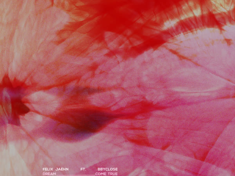 Dream Come True (Single)