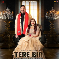Tere Bin (Single)