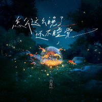 Why aren't you sleeping so late (Single)