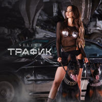 Трафик (Single)