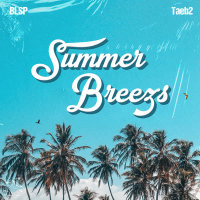 Summer Breeze (Single)