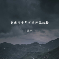 要用多少年才忘掉你的脸 (Single)