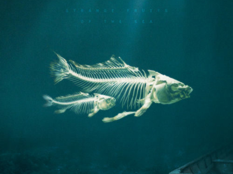 Strange Fruits Of The Sea (Single)