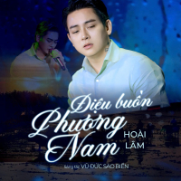 Điệu Buồn Phương Nam (Single)
