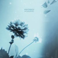 Riverbed (feat. Birdy) (Acoustic) (Single)