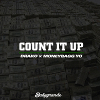 Count It Up (Single)